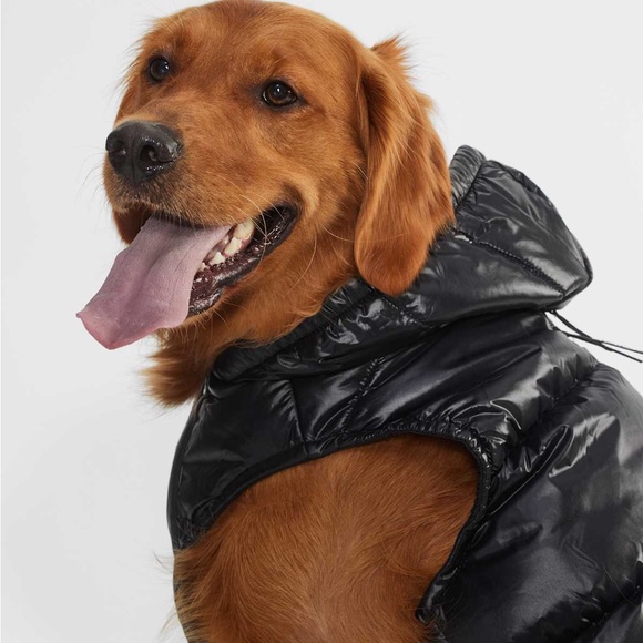 The Super Ruff Puff™ - Hi-Gloss - Picture 2 of 16